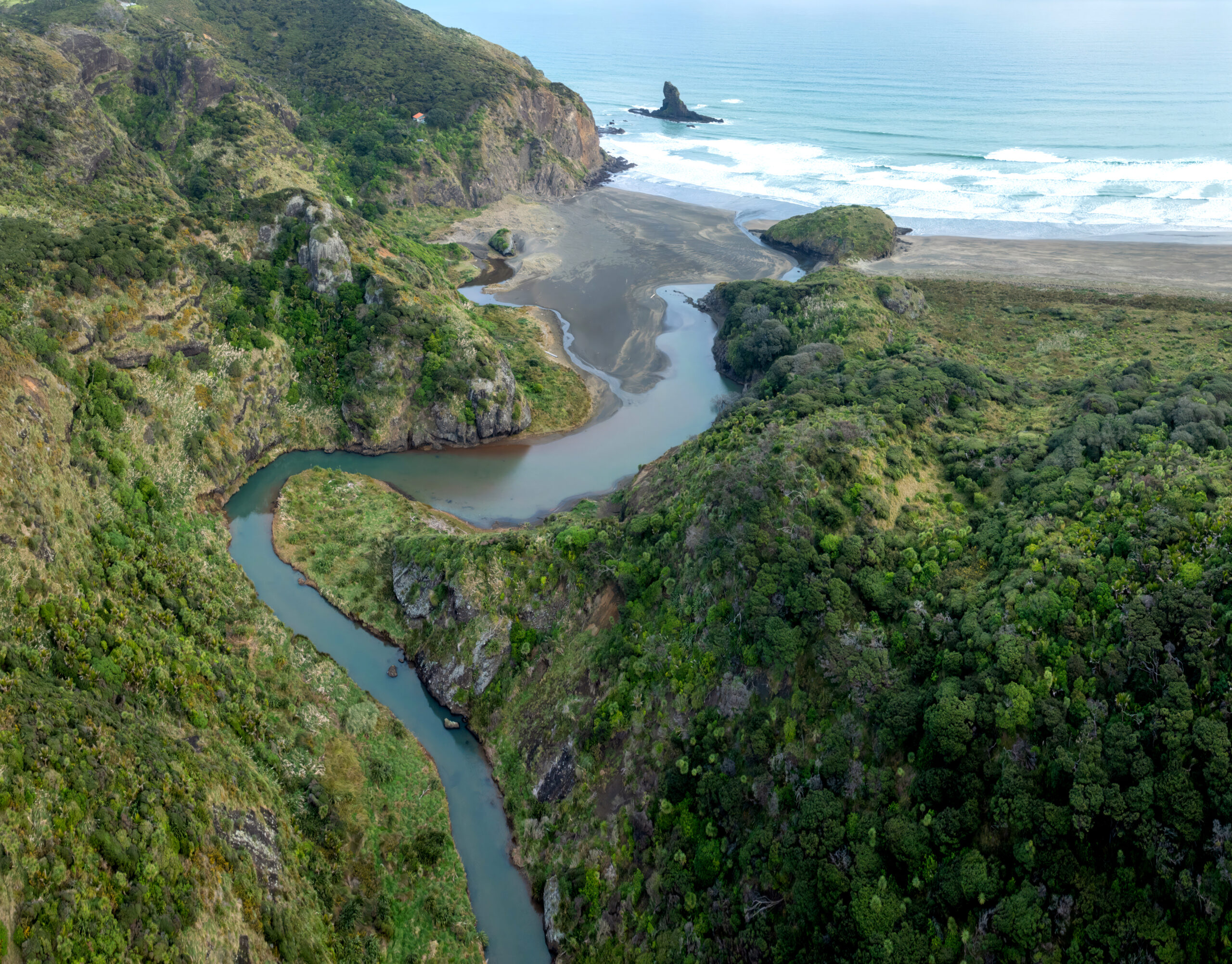 Rugged bush and coastline of New Zealand